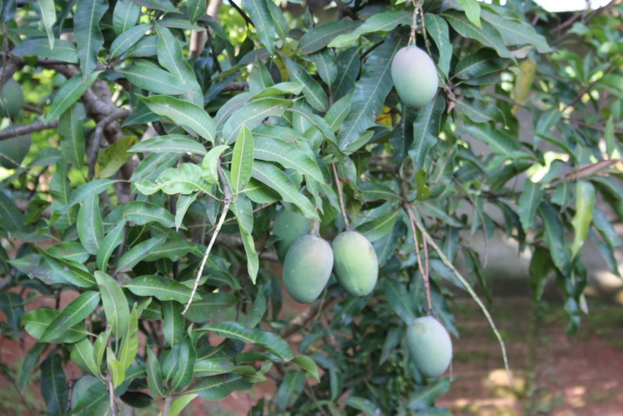 Banda Lodge Masaka Luaran gambar